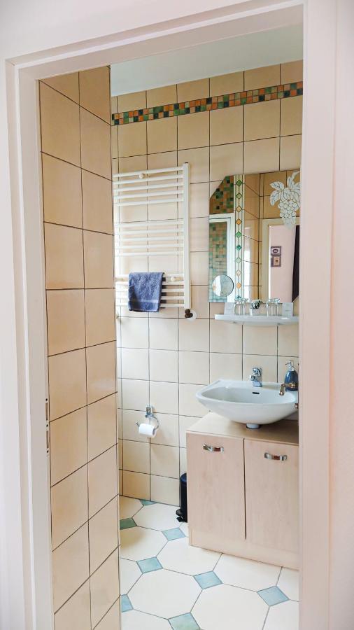 Hotel Garni Zur Traube Höhr-Grenzhausen Extérieur photo