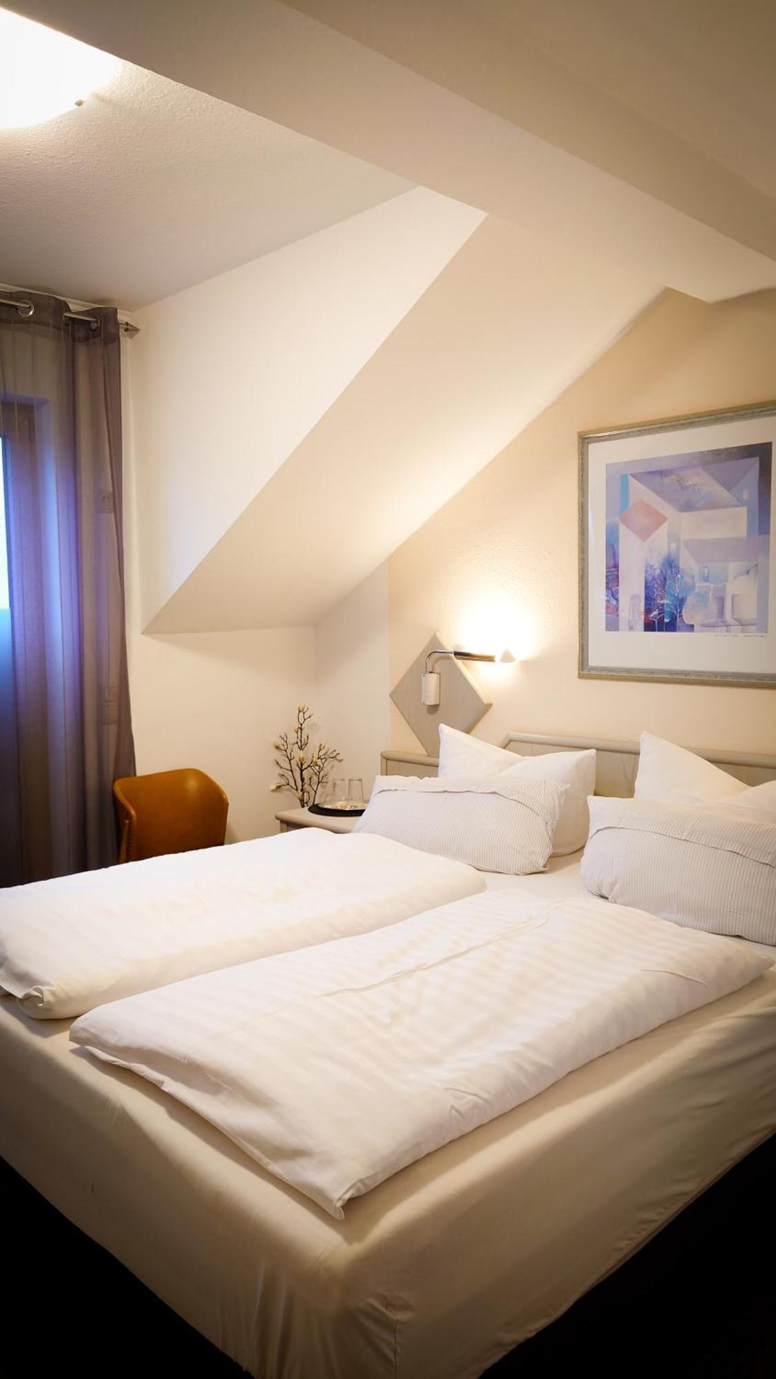 Hotel Garni Zur Traube Höhr-Grenzhausen Extérieur photo